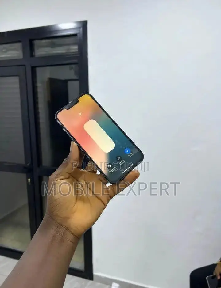 Apple iPhone 13 Pro Max 256 GB Noir