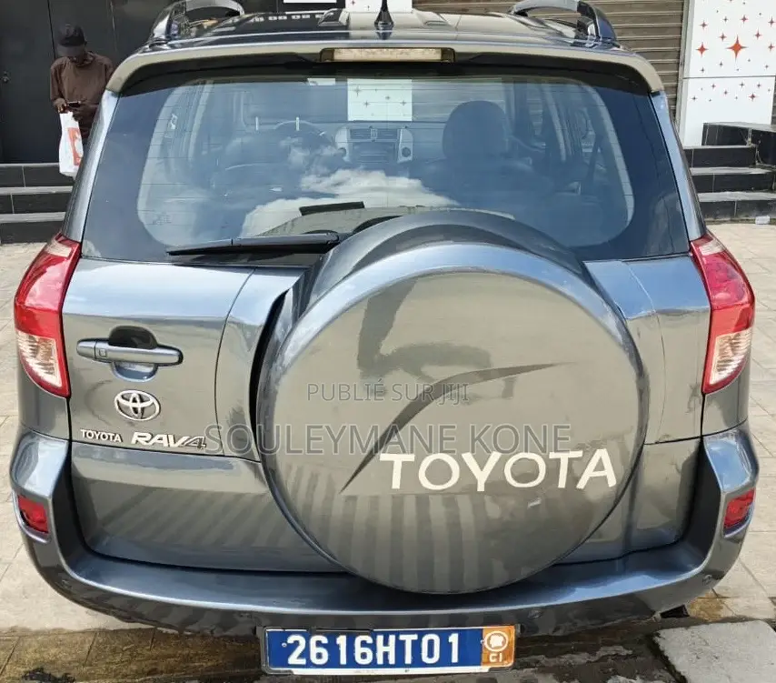 Toyota RAV4 2009 Gris