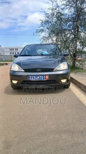 Ford Focus 2001 Gris