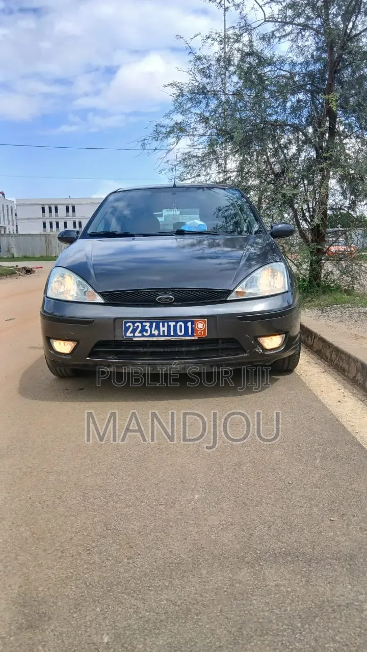 Ford Focus 2001 Gris