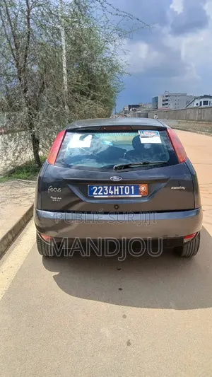 Ford Focus 2001 Gris