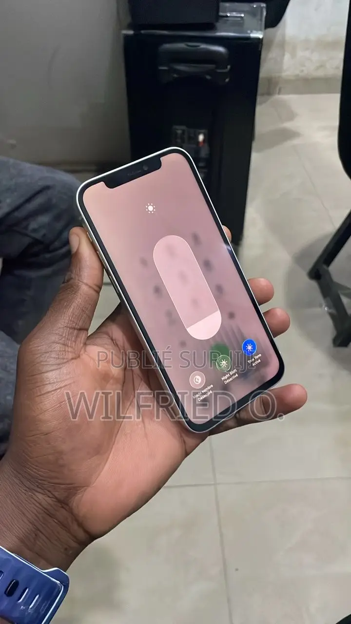 Apple iPhone 12 64 GB Vert