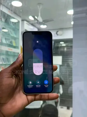 Nouveau Apple iPhone 14 Pro Max 256 GB Gris