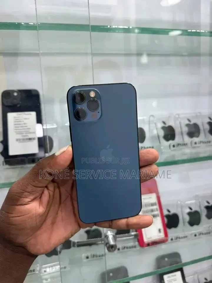 Nouveau Apple iPhone 12 256 GB Gris