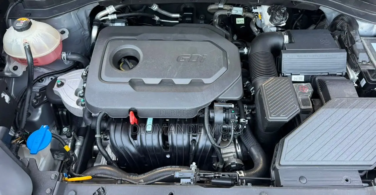 Kia Sportage EX 2021 Gris