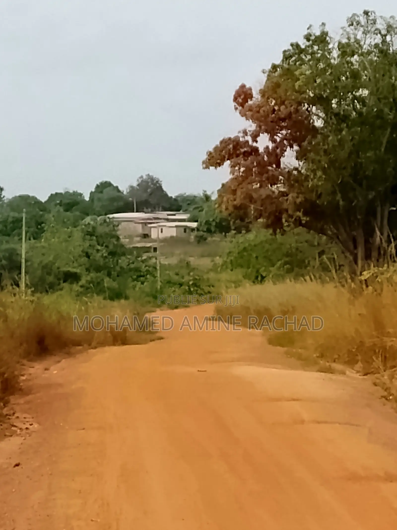 Terrain Constructible