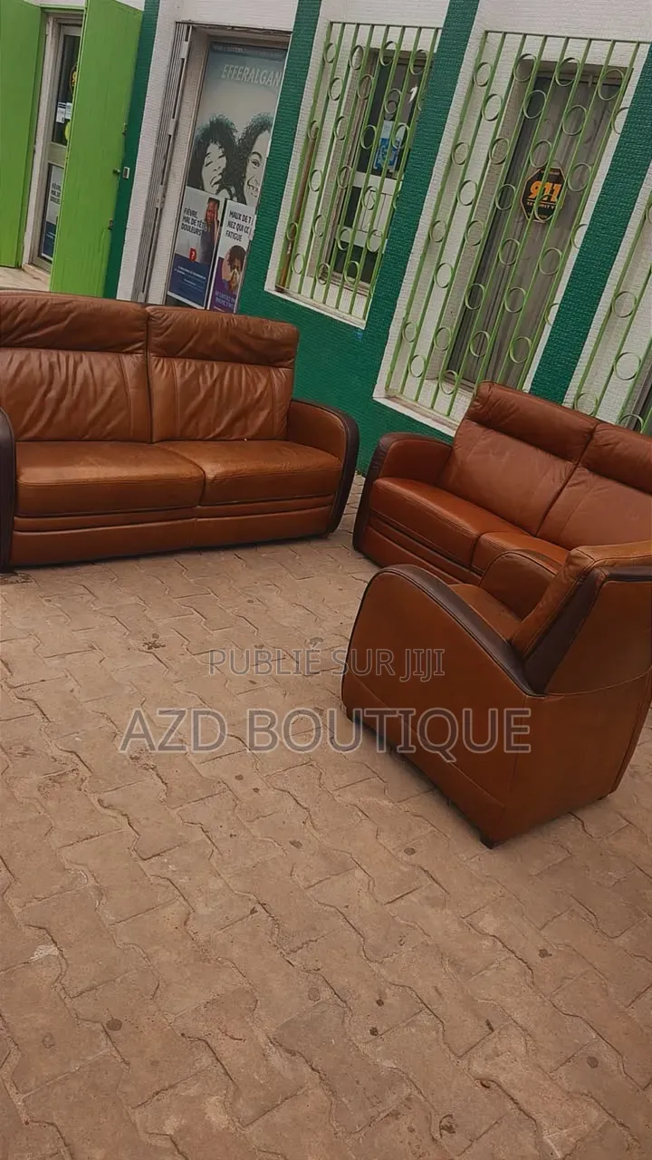 Fauteuil en Cuir Véritable Cuir De Buffle Importé d'Europe 6 Places