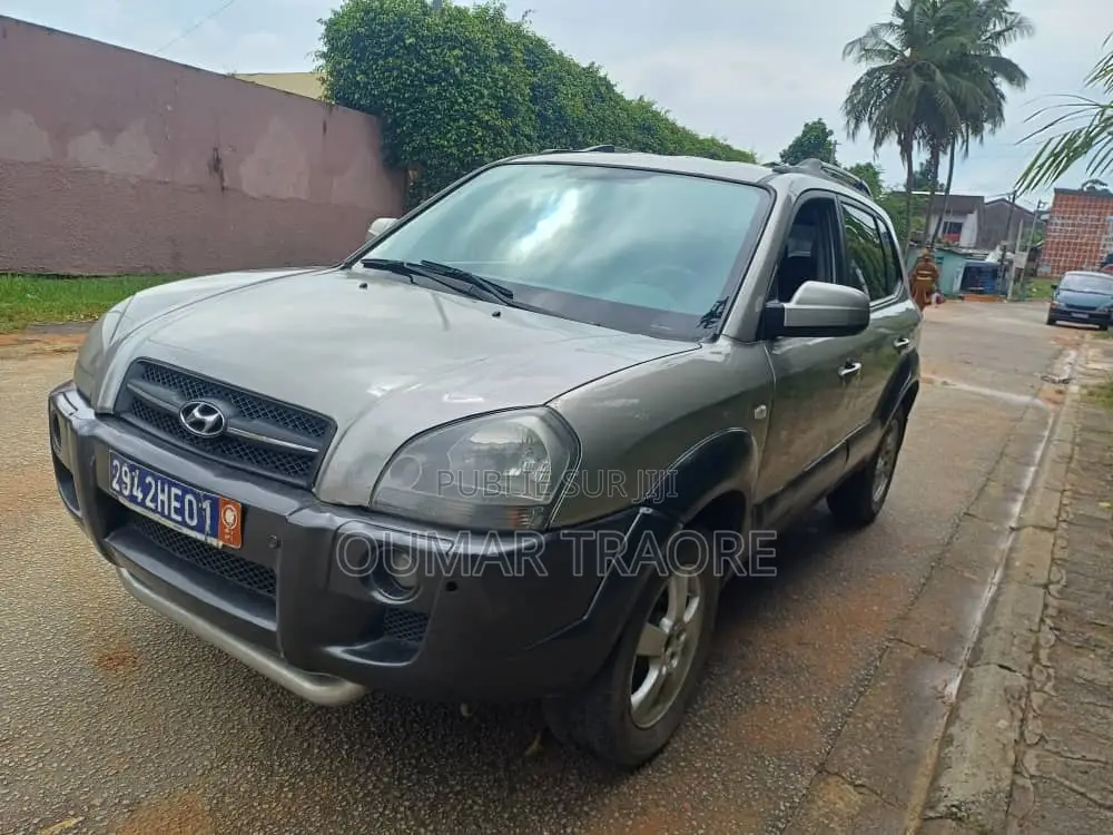 Hyundai Tucson 2006 Gris