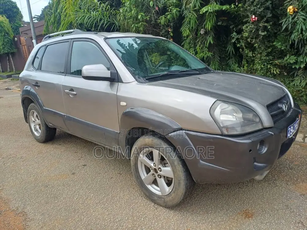 Hyundai Tucson 2006 Gris