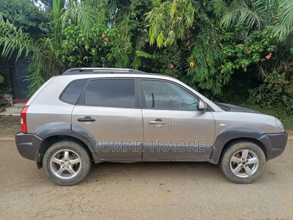 Hyundai Tucson 2006 Gris
