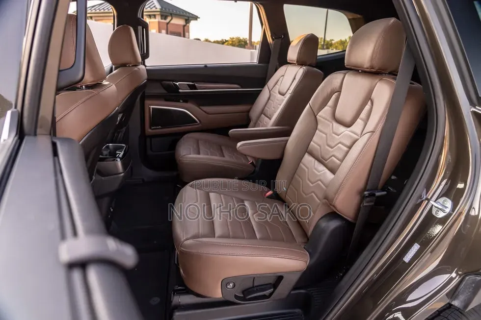 Kia Telluride 2020 Gris