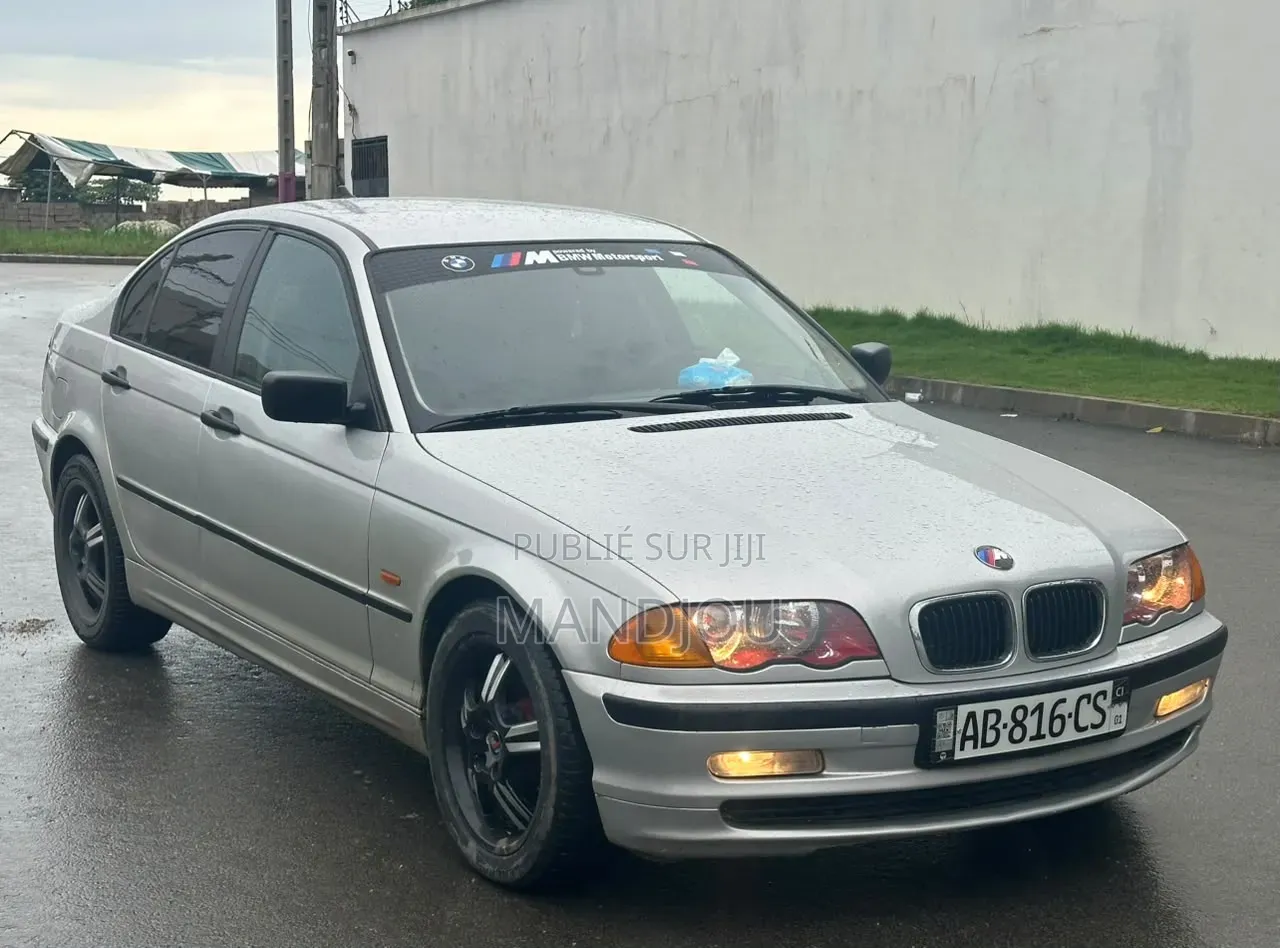 BMW 318i 2002 Gris