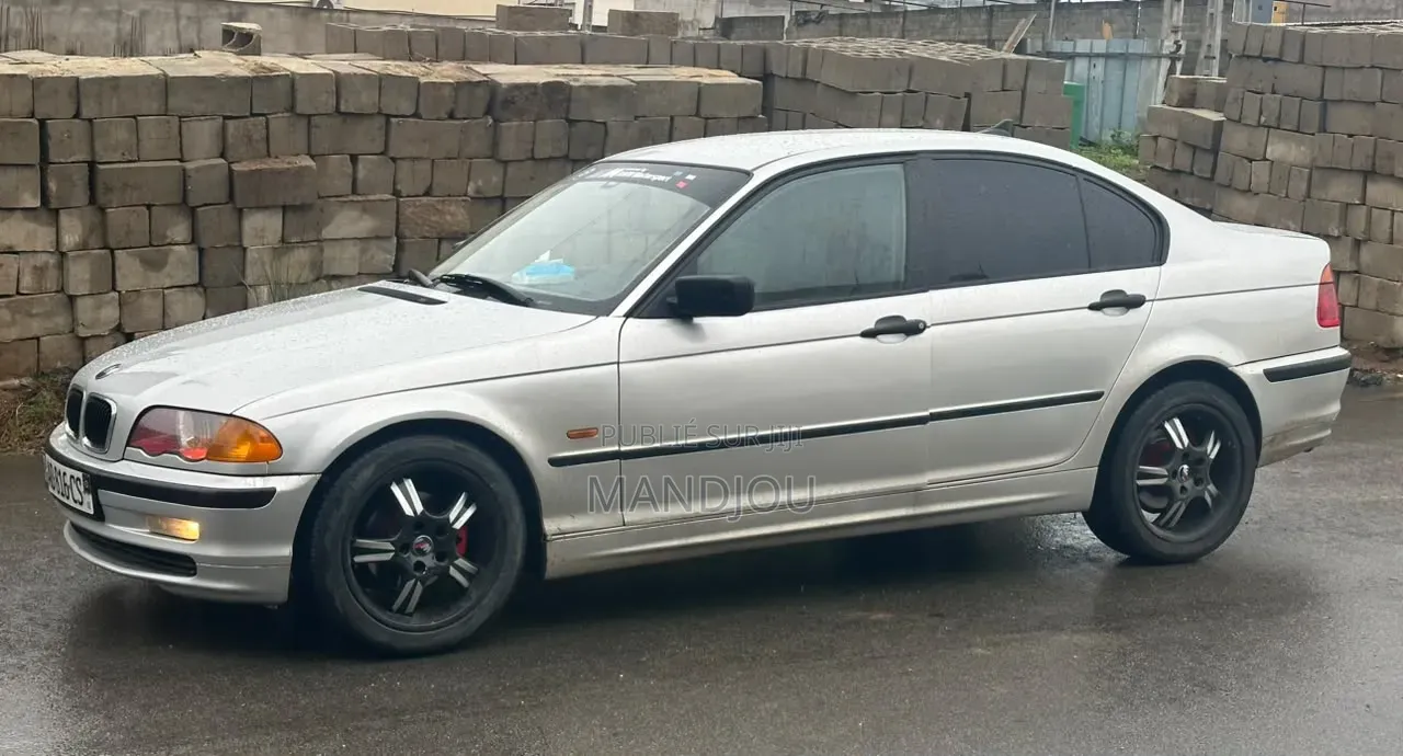 BMW 318i 2002 Gris