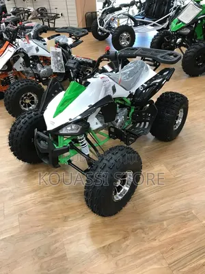 Nouveau Haojue DR300 2023 Doré