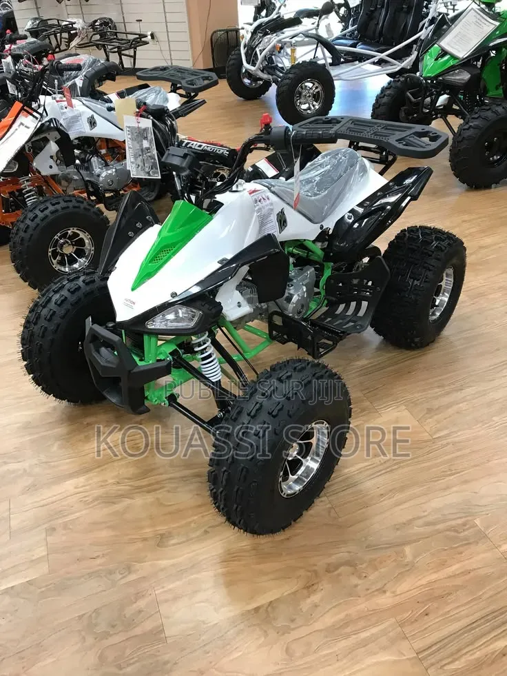 Nouveau Haojue DR300 2023 Doré