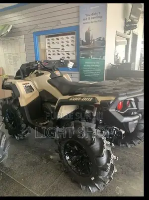 Nouveau Haojue DR300 2023 Doré