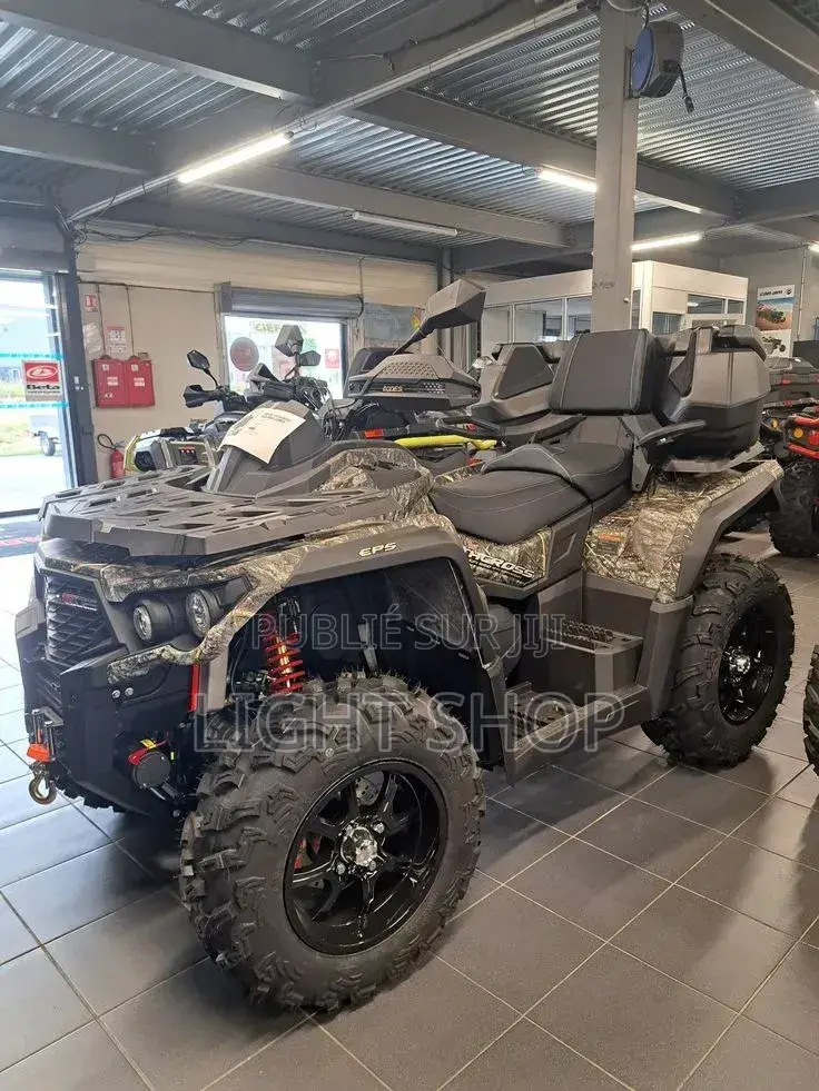 Nouveau Haojue DR300 2023 Doré