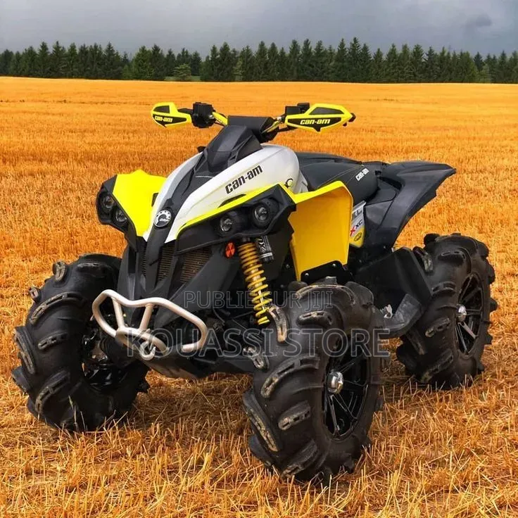 Nouveau Haojue DR300 2023 Doré