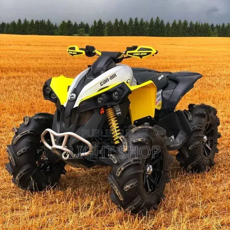 Nouveau Haojue DR300 2023 Doré