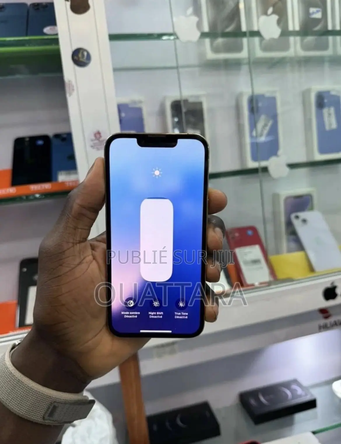 Nouveau Apple iPhone 13 Pro Max 256 GB Bleu