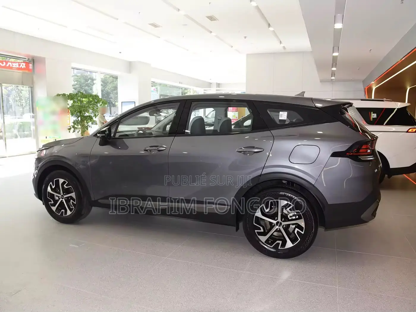Nouveau Kia Sportage 2025 Gris