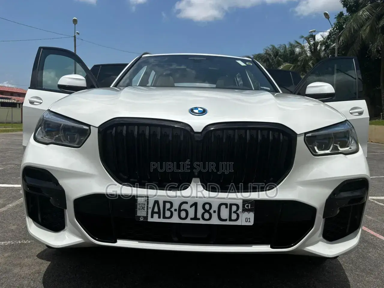 BMW X5 2022 Gris