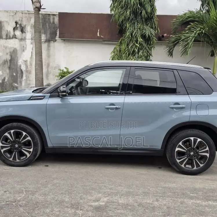 Suzuki Vitara 2019 Autre
