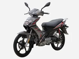 Nouveau Haojue CD110 2022 Gris