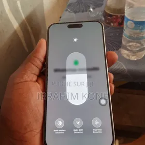 Nouveau Apple iPhone 15 Pro Max 256 GB Argenté