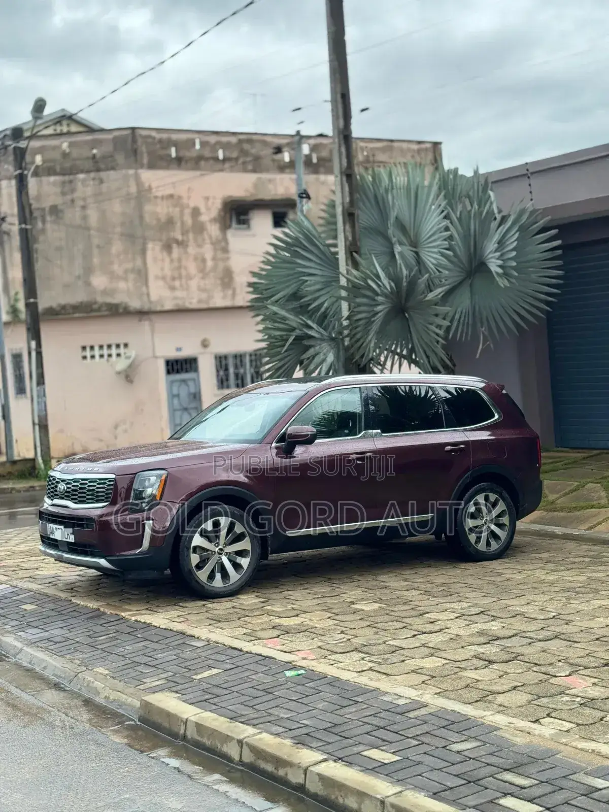 Kia Telluride 2021 Bordeaux