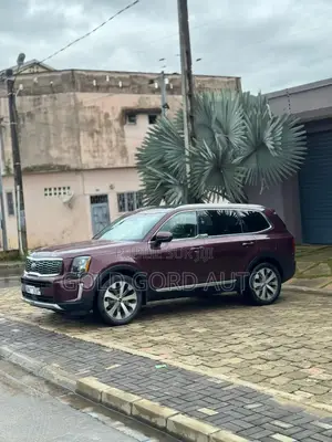 Kia Telluride 2021 Bordeaux