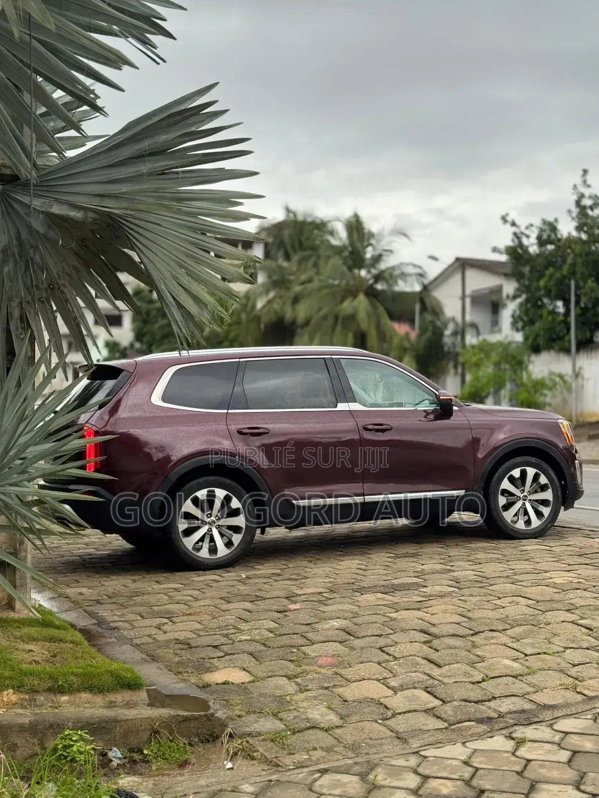 Kia Telluride 2021 Bordeaux