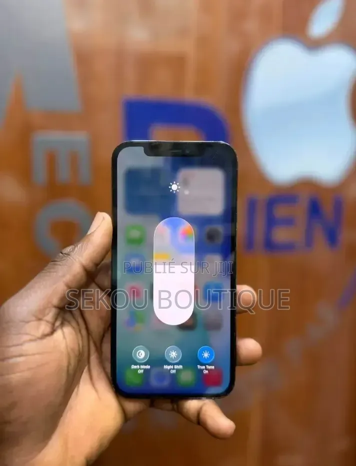 Nouveau Apple iPhone 12 256 GB Bleu