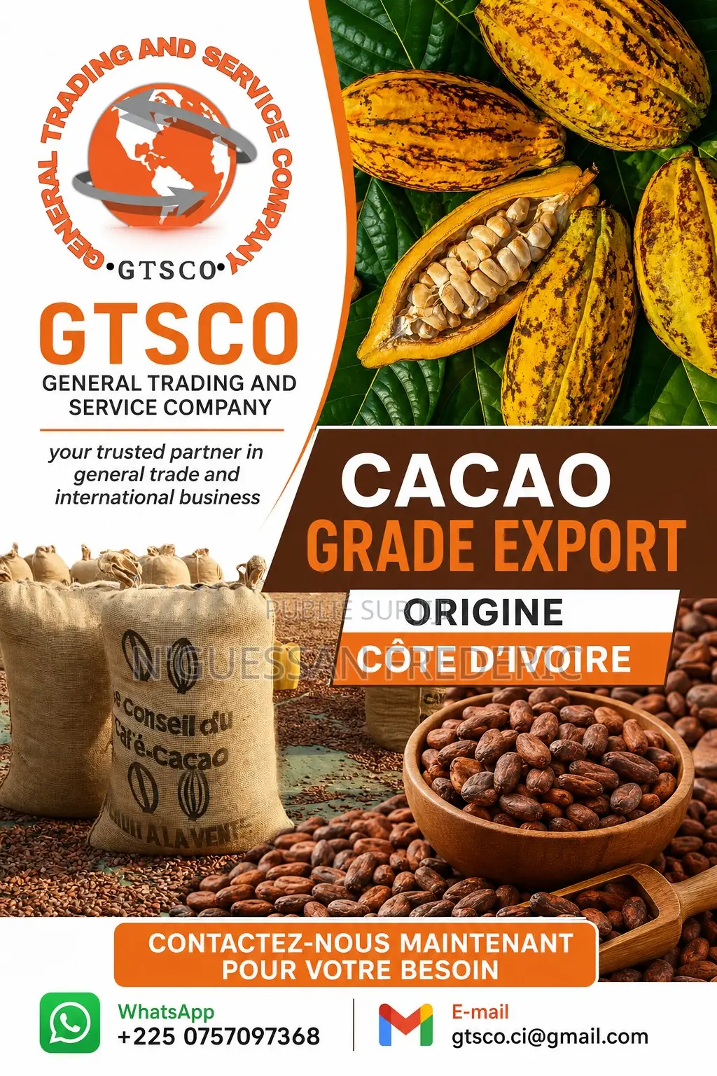 Cacao Grade Export De Côte d'Ivoire Disponible Chez Gtsco