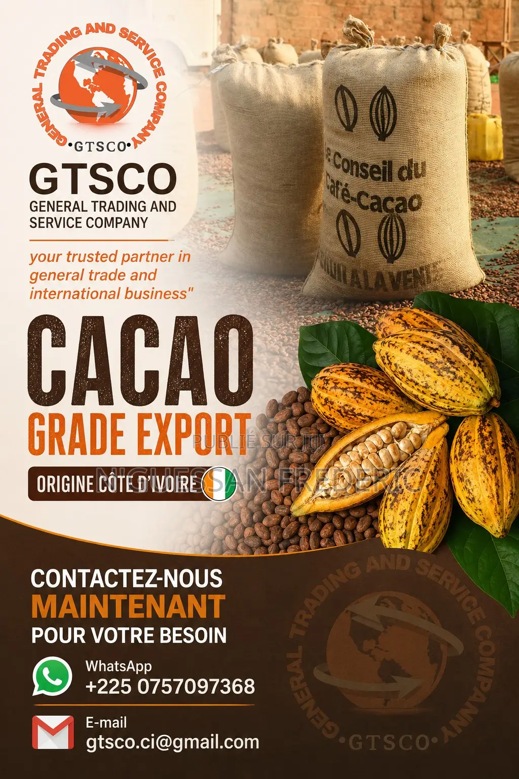 Cacao Grade Export De Côte d'Ivoire Disponible Chez Gtsco
