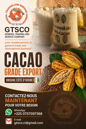 Cacao Grade Export De Côte d'Ivoire Disponible Chez Gtsco