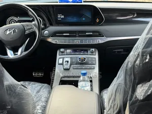 Hyundai Palissade 2021 Gris