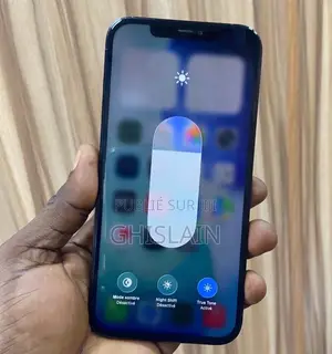 Nouveau Apple iPhone 12 Pro 256 GB Argenté
