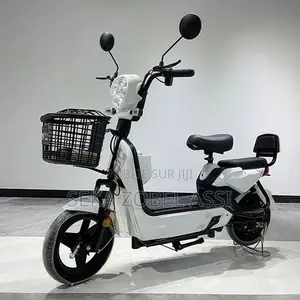 Moto Électrique