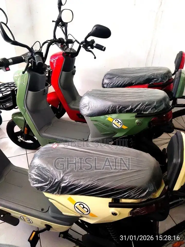 Moto Électrique