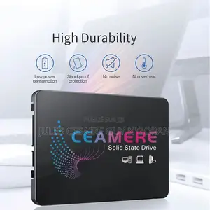 Disque Dur Interne SSD 256 Gb