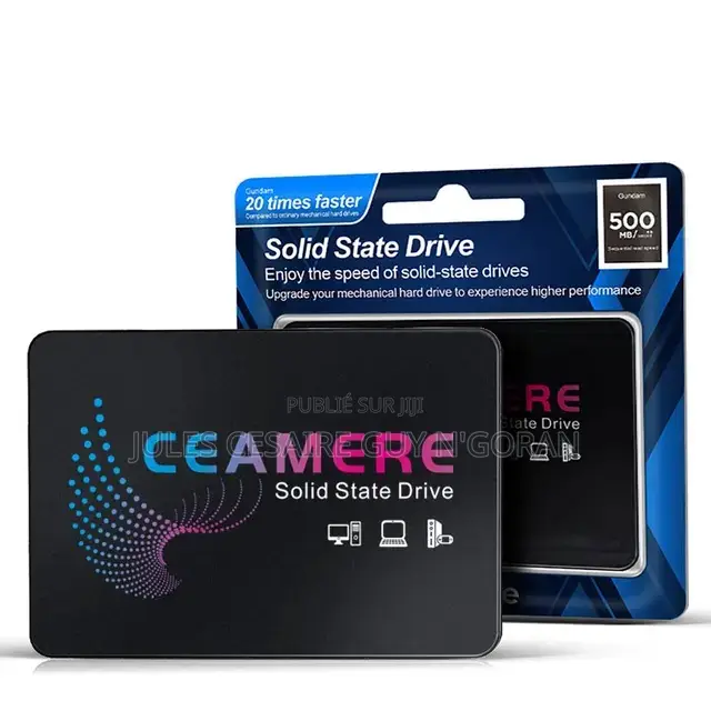 Disque Dur Interne SSD 256 Gb