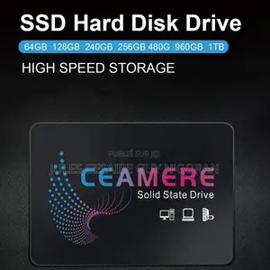 Disque Dur Interne SSD 256 Gb