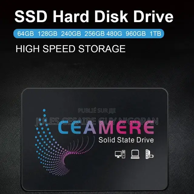 Disque Dur Interne SSD 256 Gb