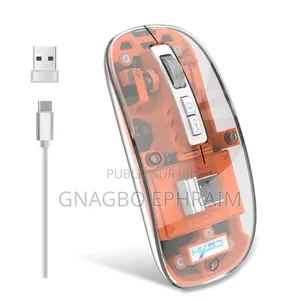 Souris Rechargeable