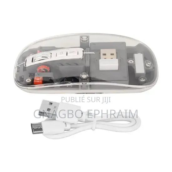 Souris Rechargeable