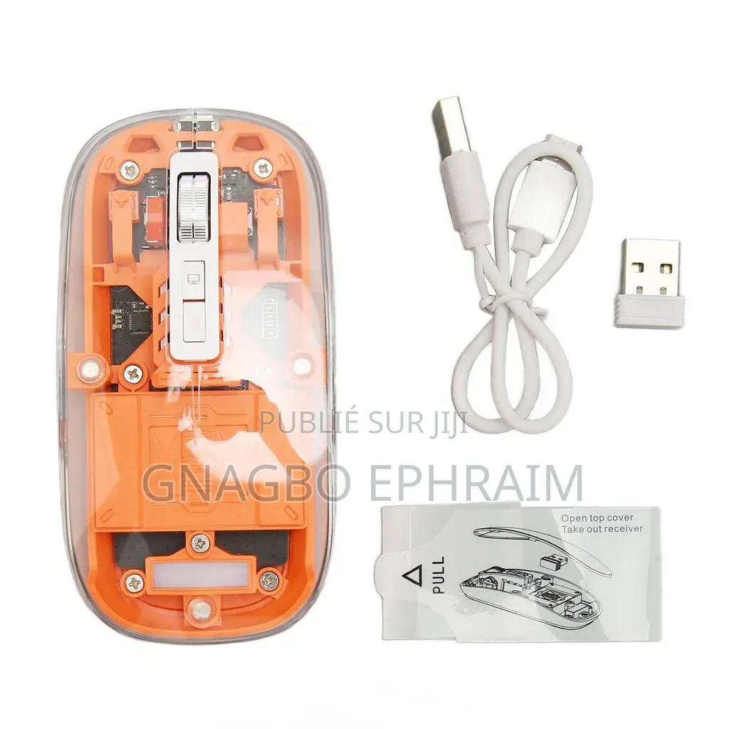 Souris Rechargeable