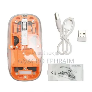 Souris Rechargeable