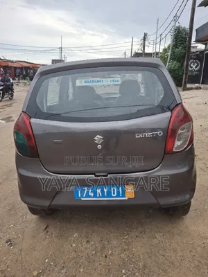 Suzuki APV Minibus 2022 Gris