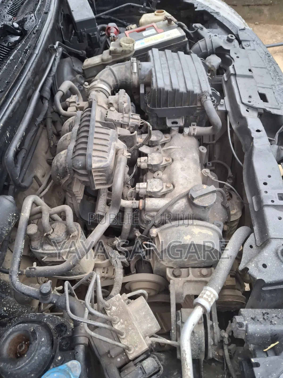 Suzuki APV Minibus 2022 Gris